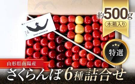 [令和9年産先行予約] さくらんぼ 6種詰合せ 約500g (特選 木箱入り) [令和9年6月中旬〜発送] 『最上園』 [681]