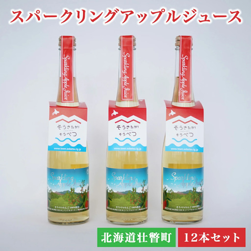 スパークリングアップルジュース12本セット
