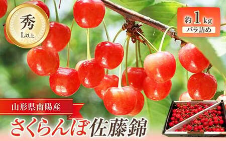 [令和9年産先行予約] さくらんぼ 「佐藤錦」 約1kg (秀 L以上) バラ詰め [令和9年6月中旬〜発送] 『田口農園』 サクランボ 果物 フルーツ 産地直送 生産農家直送 山形県 南陽市 [1129]
