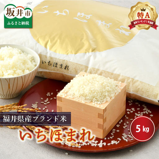 【令和7年産】（玄米）さんさん池見二代目がお届けする 福井県産いちほまれ 5kg [B-0219_04]