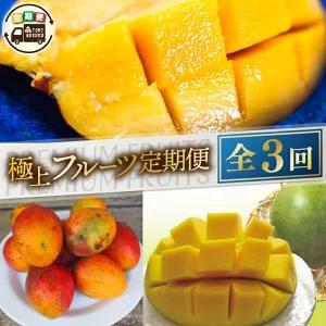 [2027年6月より順次発送][3ヶ月定期便]豊見城 極上フルーツ定期便(6・7・8月コース)