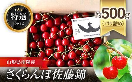 [令和9年産先行予約] さくらんぼ 「佐藤錦」 約500g (特選 L玉) バラ詰め [令和9年6月中旬〜発送] 『最上園』 サクランボ 果物 フルーツ 産地直送 山形県 南陽市 [989]