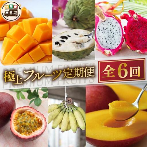 [全6回]豊見城 極上フルーツ定期便