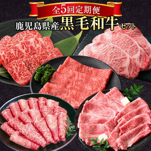 [全5回定期便]鹿児島県産 黒毛和牛セット 定期便 黒牛[お申込み翌月から出荷]