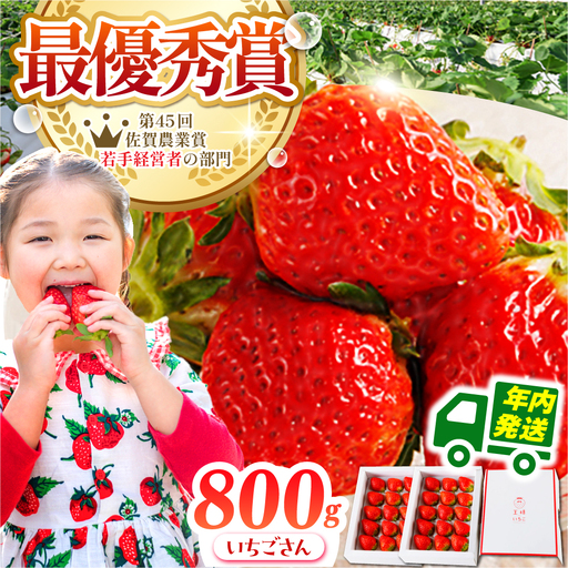 【先行予約】【12月発送】王様のいちごいちごさん400g×2箱むらおか農園 HAF001 果物 フルーツ