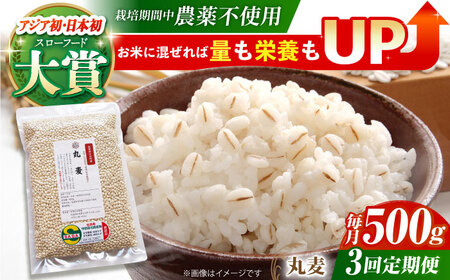 【全3回定期便】丸麦500g（1等麦使用）【葦農】 HAJ040 