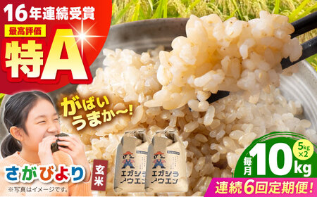 【全6回定期便】さがびより 玄米 10kg（5kg×2袋）【江頭農園】  [HAU007]特A 特A評価 コメ お米 特A米