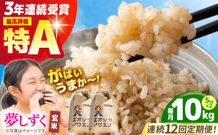 【全12回定期便】夢しずく 玄米 10kg（5kg×2袋）【江頭農園】  [HAU011]特A 特A評価 コメ お米 特A米