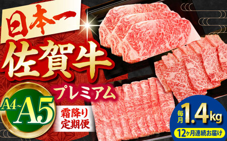 【全12回定期便】佐賀牛 プレミアム霜降り定期 HBH027 焼肉 佐賀牛 国産 和牛 黒毛和牛