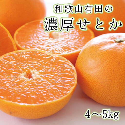 【高級】和歌山有田の濃厚せとか　約4～5kg　※2027年2月中旬～3月中旬順次発送予定【ard007B】