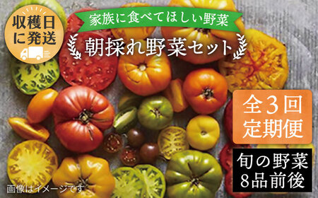 [全3回定期便][福岡県 糸島産]朝採れ 野菜 セット(8品前後) [糸島][オーガニックナガミツファーム] 