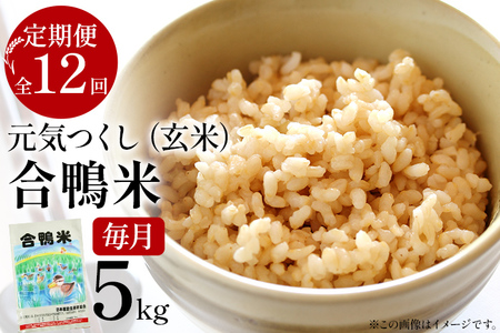 令和8年産 予約 合鴨米「元気つくし」（玄米・5ｋｇ）定期便12回コース　BI11　