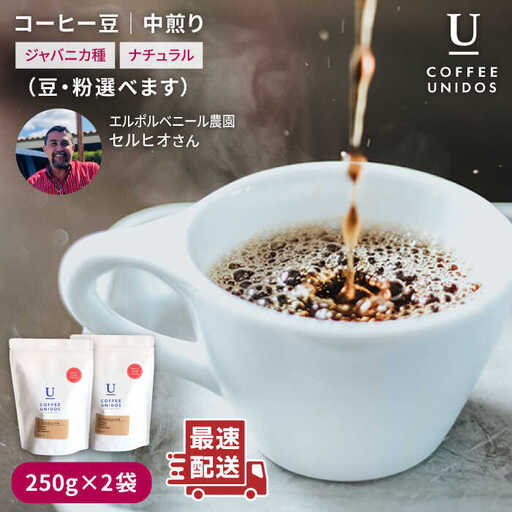 中煎り コーヒー 豆 250g × 2袋 （ 豆 ・ 粉 選べます ） ニカラグア産 エルポルベニール農園 ジャバニカ種 ナチュラル 《糸島》 【COFFEE UNIDOS】 [AQF005]