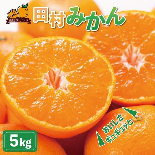 高級ブランド田村みかん　5kg［2026年11月下旬以降発送］［先行予約］［UT14］