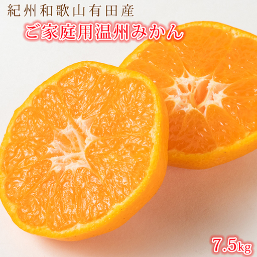 ［ご家庭用訳アリ］紀州有田産温州みかん7.5kg［2026年11月下旬以降発送］［先行予約］［UT10］