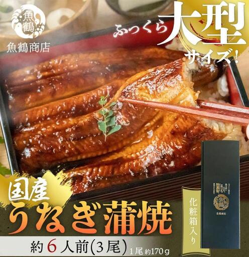 大型サイズ ふっくら柔らか 国産うなぎ蒲焼き 3尾 ［UT06］