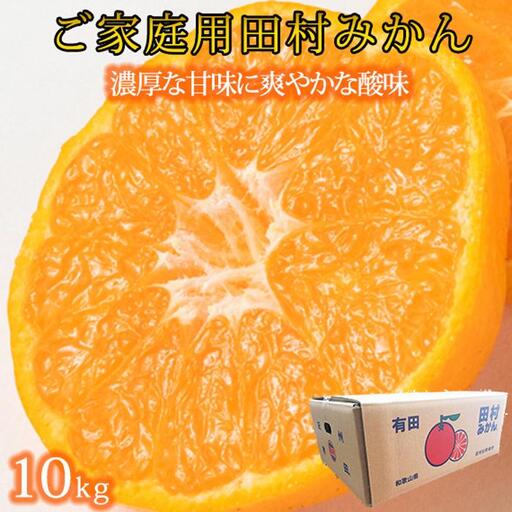 ［ご家庭用訳あり］田村みかん　10kg［2026年11月下旬以降発送］［先行予約］［UT16］