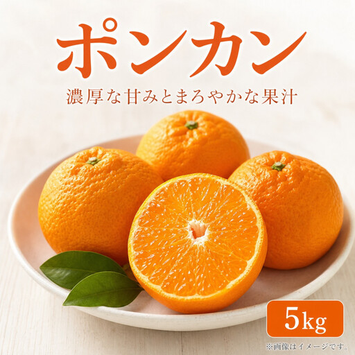 紀州和歌山有田産ポンカン　５ｋｇ［2027年2月上旬頃から2027年2月下旬頃に順次発送］［UT20］