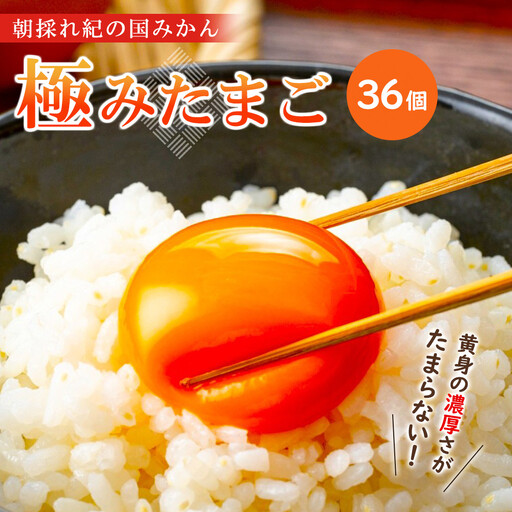 たまご 紀の国みかん極みたまご36個 卵 玉子 卵かけご飯