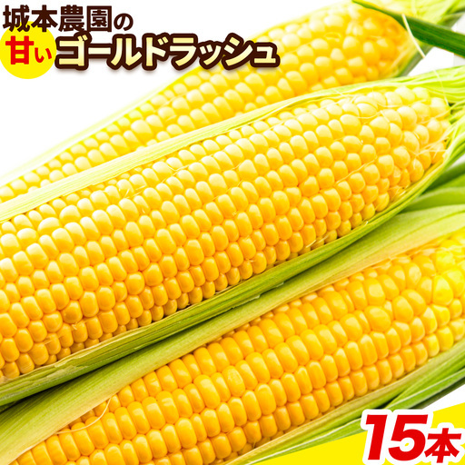 とうもろこし 15本 とうもろこし 城本農園