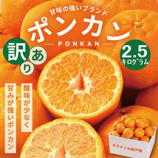 [室戸産ポンカン]冬の柑橘ポンカン 2.5kg