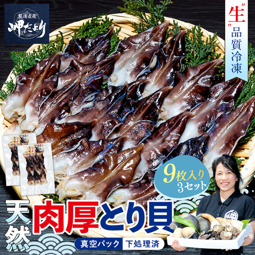 天然 とり貝 お刺身 大9枚×3セット 岬だより トリ貝 刺し身