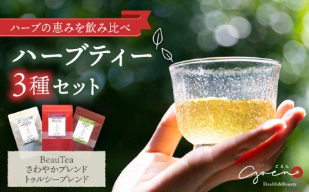 【ほっとひといき癒しをお届け】3種のハーブティーセット（3種×各1袋）【Goenヘルス＆ビューティー】[HBQ002]ローズヒップ レモングラス ほうじ茶