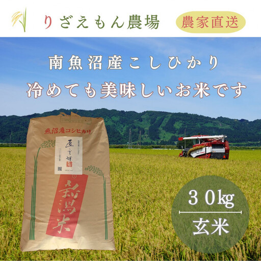 《令和8年産　新米予約受付》玄米30kg　南魚沼産　コシヒカリ　こしひかり　魚野川流域　匠 雲蝶(たくみ　うんちょう）＼生産農家直送／【2026年10月上旬より順次発送予定】