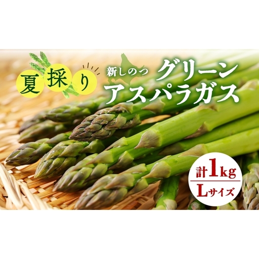 北海道 新しのつ産 夏採れ グリーン アスパラガス 1kg L サイズ 旬 アスパラ 野菜 農作物 朝採れ 新鮮 国産 甘い 人気 お取り寄せ 専用箱 JA新しのつ 送料無料