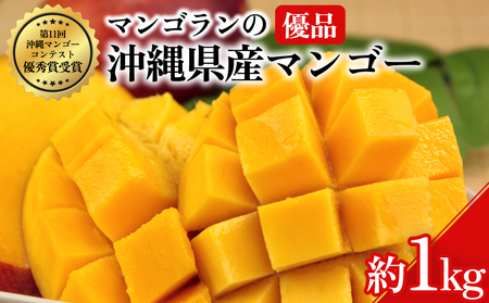 【 先行予約 2027年発送 】マンゴランのこだわりマンゴー 1kg