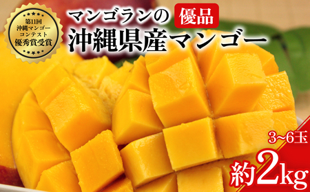 【 先行予約 2027年発送 】マンゴランのこだわりマンゴー 2kg