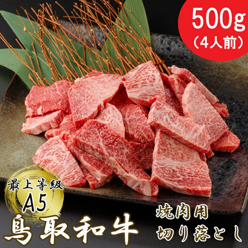 [A5]鳥取和牛ふぞろい焼肉切り落とし 500g[肩ロース サーロイン 三角バラ ランプ ヒレ ランダム 焼き肉 やきにく 切落し 切り落し 和牛 不揃い ご自宅用 ギフト 熨斗 プレゼント お取り寄せ グルメ 冷凍]