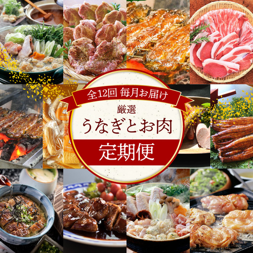 碧南市がチョイスした厳選定期便! [全12回]厳選!うなぎとお肉の定期便(毎月お届け)