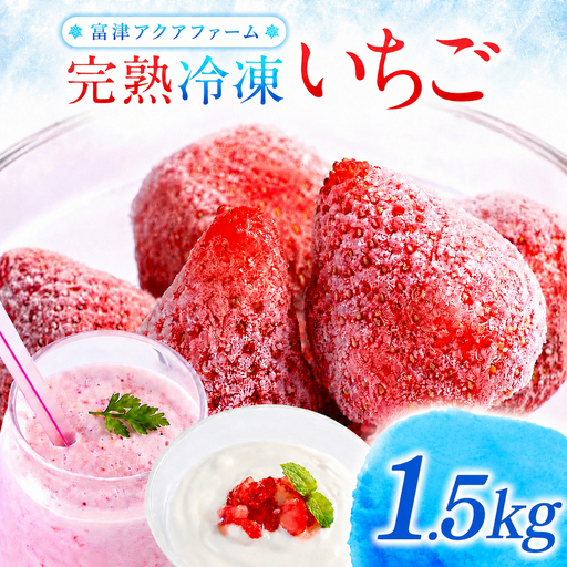 富津アクアファーム　冷凍完熟いちご 1.5kg　いちご フルーツ 果物 完熟 ストロベリー ベリー 冷凍 アクアファーム おすすめ 数量限定 章姫 紅ほっぺ 真紅の美鈴 おいCベリー かおり野 ヨーグルト スムージー ジャム お菓子 おやつ 氷いちご 房総 千葉県 富津市