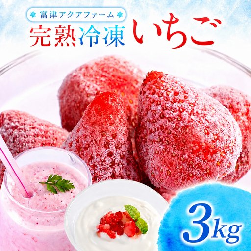 富津アクアファーム 冷凍完熟いちご 3kg(1kg×3パック) いちご フルーツ 果物 完熟 ストロベリー ベリー 冷凍 アクアファーム おすすめ 数量限定 章姫 紅ほっぺ 真紅の美鈴 おいCベリー かおり野 ヨーグルト スムージー ジャム お菓子 おやつ 氷 房総 千葉県 富津市