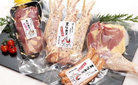 天草大王[アウトドアセット]幻の鶏 キャンプ BBQ 骨付きもも肉 500g !! 大手羽先 ソーセージ ブツ切り ミックス セット