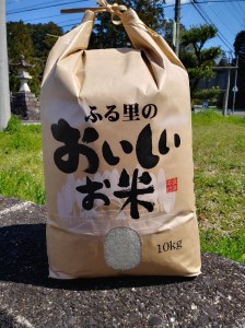 FY-031　大師の里のコシヒカリ10㎏（令和6年産）
