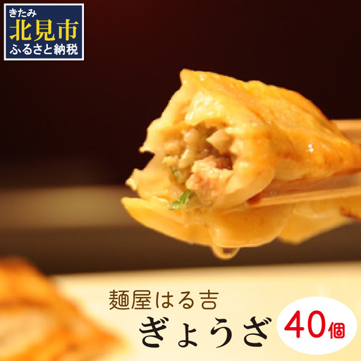 麺屋はる吉 冷凍ぎょうざオリジナル 40個入×1袋 ( 加工品 餃子 ぎょうざ 北海道 ふるさと納税 ギョーザ )【082-0007】