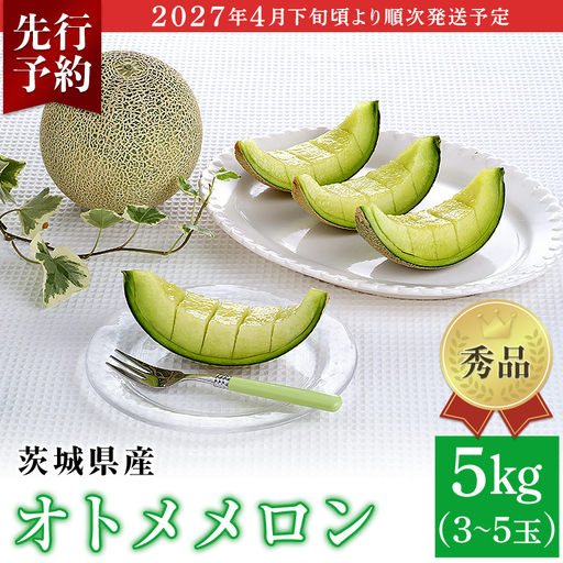 082-2 オトメメロン 秀品 3～5玉 約5kg 茨城県 JA水戸産