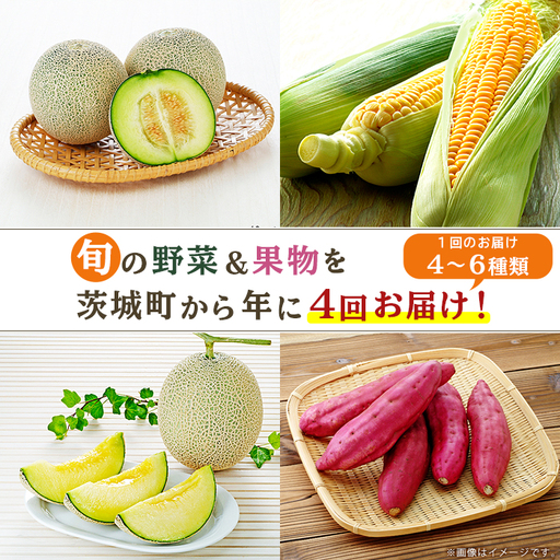 162 定期便 果物 フルーツ 野菜 茨城町 旬 年に4回 お届け お楽しみ メロン サツマイモ とうもろこし 等