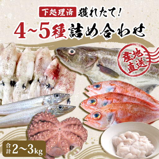 鮮魚 詰め合わせ 2〜3kg(4〜5種)下処理済み 魚 宮城県産