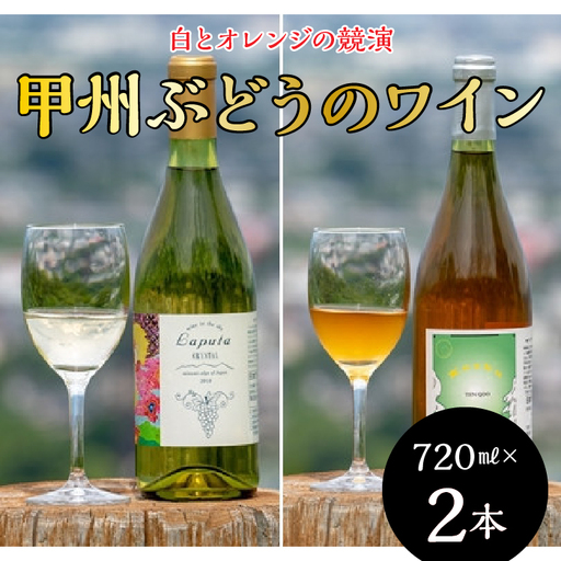 南アルプス天空舎の甲州ぶどうで醸すワイン、白とオレンジの競演（2本入り 各720ml）ALPAB059