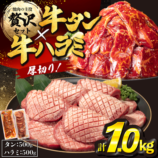 厚切り牛タン塩味500ｇ・味付け牛ハラミ500ｇ各1Ｐ【842】