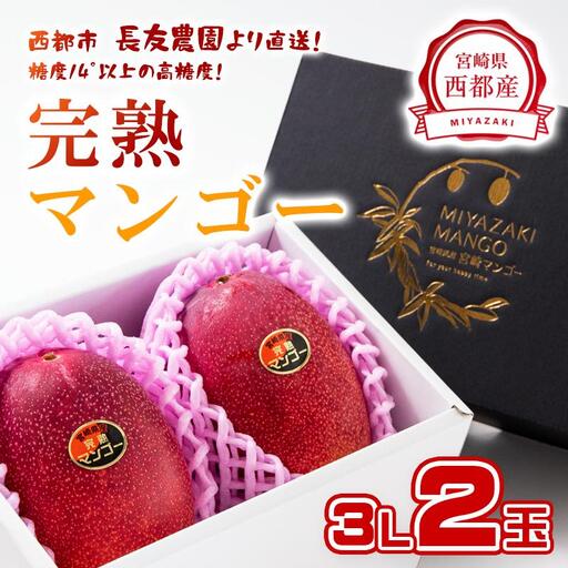 [先行予約]2027年発送[長友農園]糖度14度以上 完熟マンゴー 3L×2 宮崎県西都産 生産者直送[46-2a]