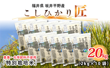 [令和7年産](玄米)特別栽培米 コシヒカリ匠 20kg (2kg × 10袋) 栽培期間中農薬不使用 / コシヒカリ こしひかり 白米 お米 [J-2913_02]