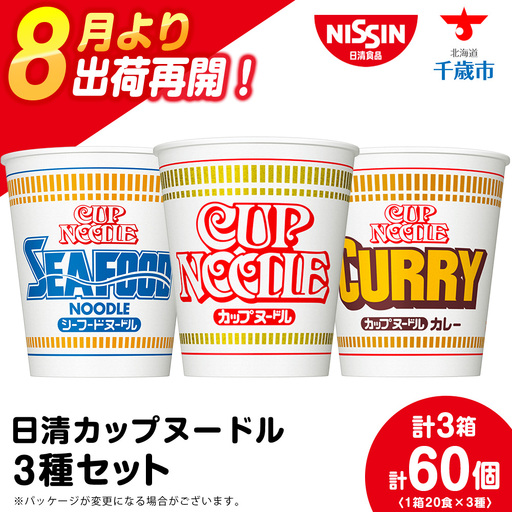日清ヌードル3種セット 各1箱（20食入）合計60食