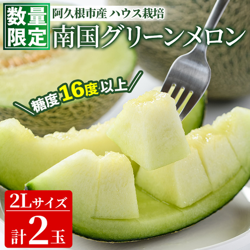 [先行予約受付中!2027年6月中旬以降順次発送予定]数量限定!鹿児島県産 南国グリーンメロン (2Lサイズ×2個) メロン フルーツ デザート 果物 鹿児島 国産 阿久根市産 青肉 ハウス ハウス栽培 期間限定 L [東新グリーンファーム合同会社]akn062-08