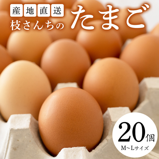 枝さんちのたまご(M～L20個) 産地直送  餌にこだわり 平飼いでのびのび育った卵 卵 非遺伝子組換え 7000 [BT001sa]