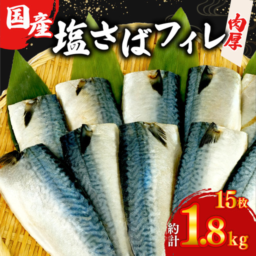 サバ フィレ 国産 塩鯖 15枚約1.8kg 鯖 沼津 さば サバ