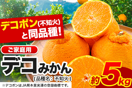 不知火 デコみかん ( デコポンと同品種 ) 不知火 ご家庭用  熊本県産 ( 荒尾市産含む ) 《2月上旬-4月上旬頃出荷》訳あり 約 5kg (12-24玉前後) 柑橘 みかん フルーツ 不知火 訳あり 訳アリ でこみかん 果物 熊本県産 美味しい不知火 旬の不知火 ジューシー不知火 フルーツ不知火